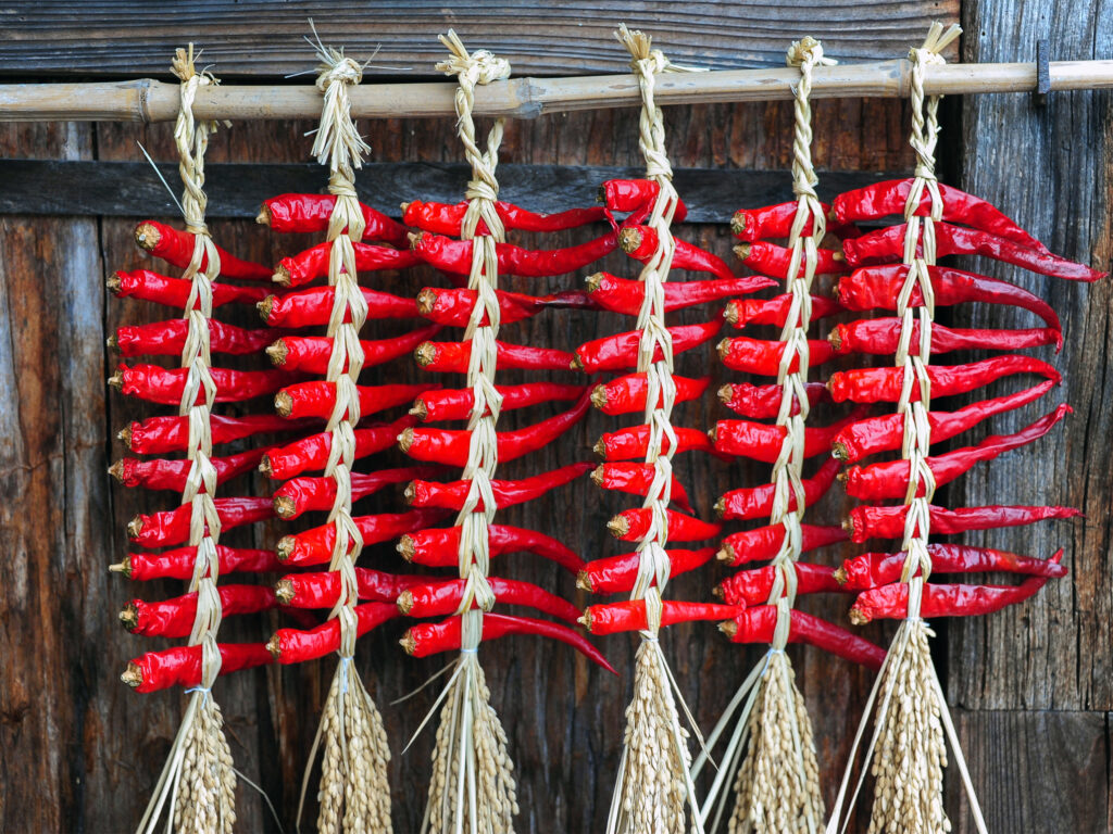 Dried chillis
