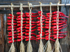 Dried chillis