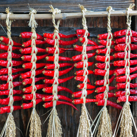 Dried chillis
