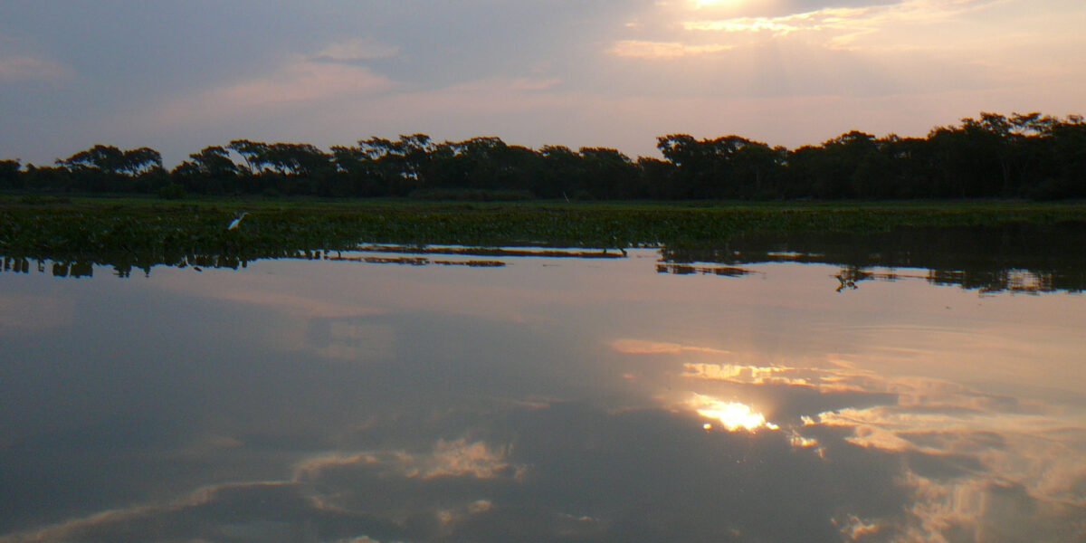 Pantanal view