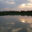 Pantanal view