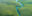 Amazon regeneration Amazon rainforest