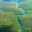 Amazon rainforest