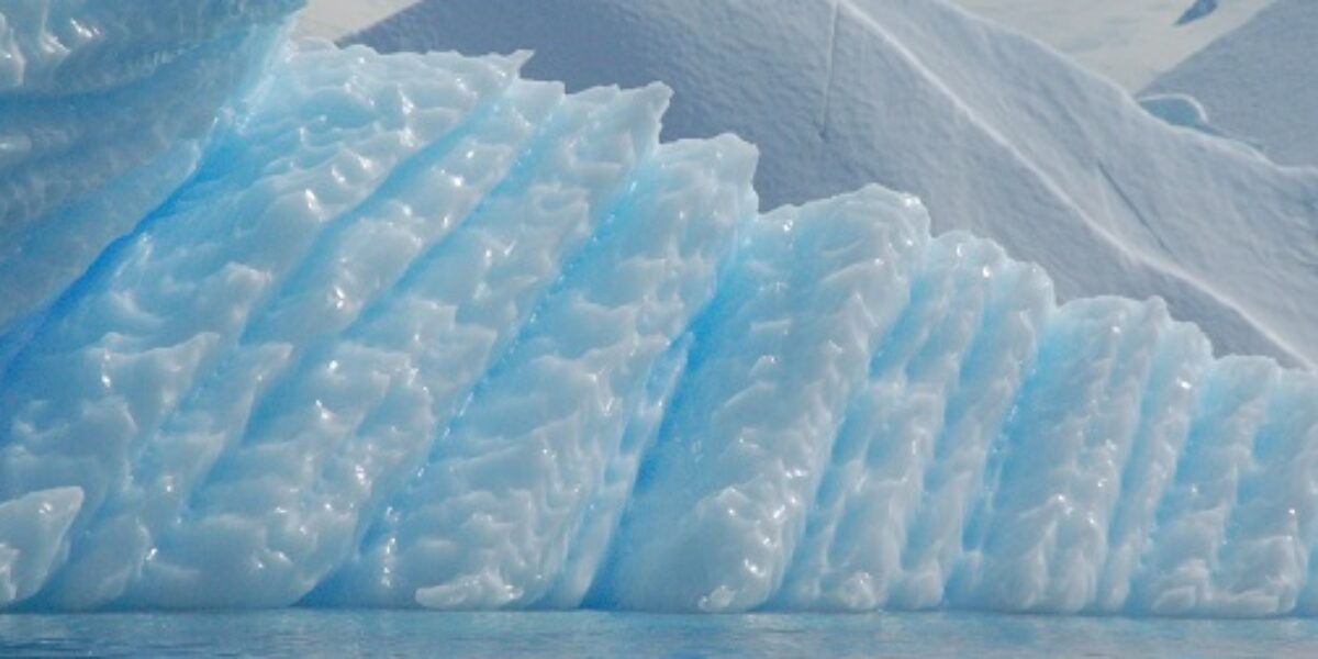 ANT_Iceberg_KeithTurner_freewithcredit (3)