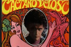 BRA_Tropicalia_OffWebsite_AlbumCover