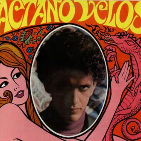BRA_Tropicalia_OffWebsite_AlbumCover