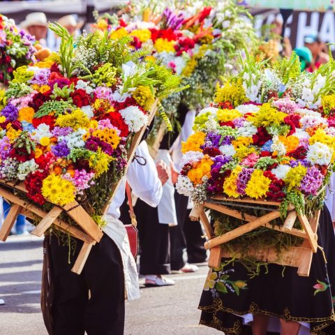 COL_Flowers_Antioquia_ShutterStock-4