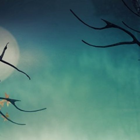 LATAM_SpookiestMyths_shutterstock_113358601_Resized