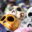 MEX_iStock_000006414768Medium_muertos_dead_mexico_free