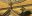 SUR_LiberationTheology_iStock_000000609951Medium SUR_LiberationTheology_iStock_000000609951Medium
