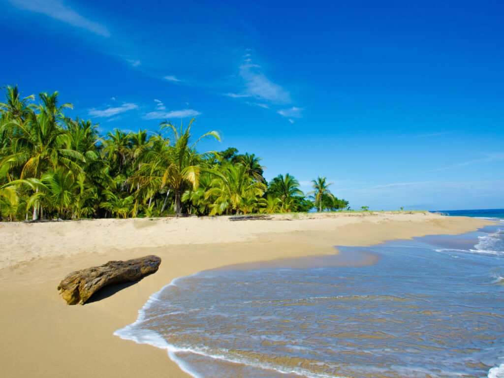 COS_CostaRicaHoneymoon_Free