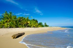 COS_CostaRicaHoneymoon_Free