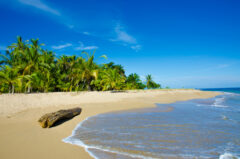 COS_CostaRicaHoneymoon_Free