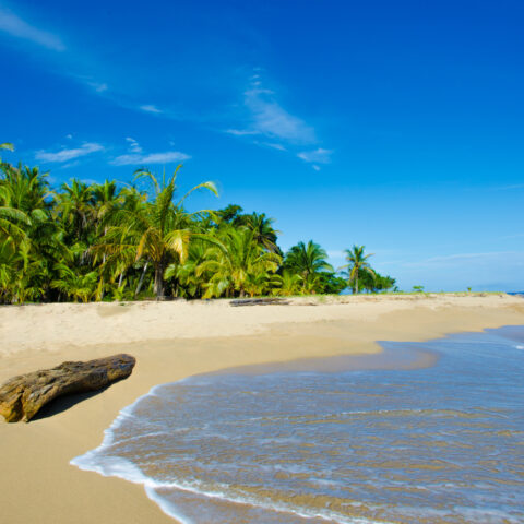 COS_CostaRicaHoneymoon_Free