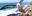ECU_Albatross_WillR_freewithcredit ECU_Albatross_WillR_freewithcredit