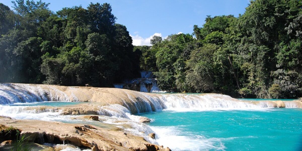 MEX_AguaAzul_MN_Free
