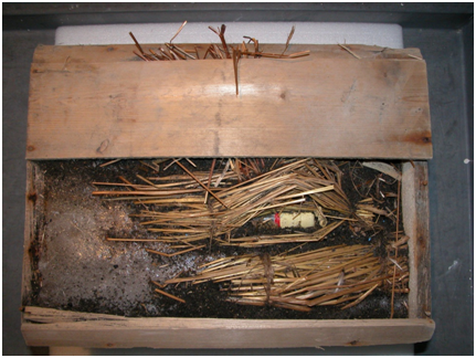 Original cases of Mackinlays Rare Old Highland Malt Whisky after their discovery in 2007 (3)