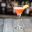 CALAFATE SOUR
