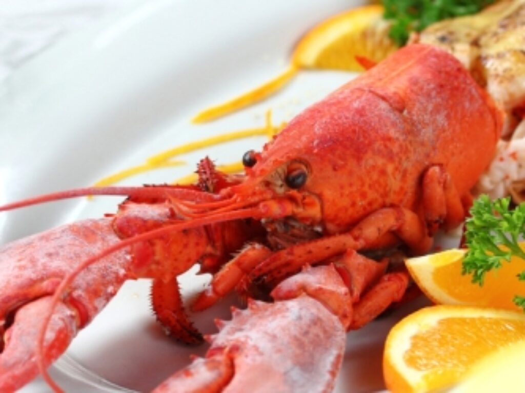 BEL_Belizean Stuffed Lobster_Free_shutterstock_112416134