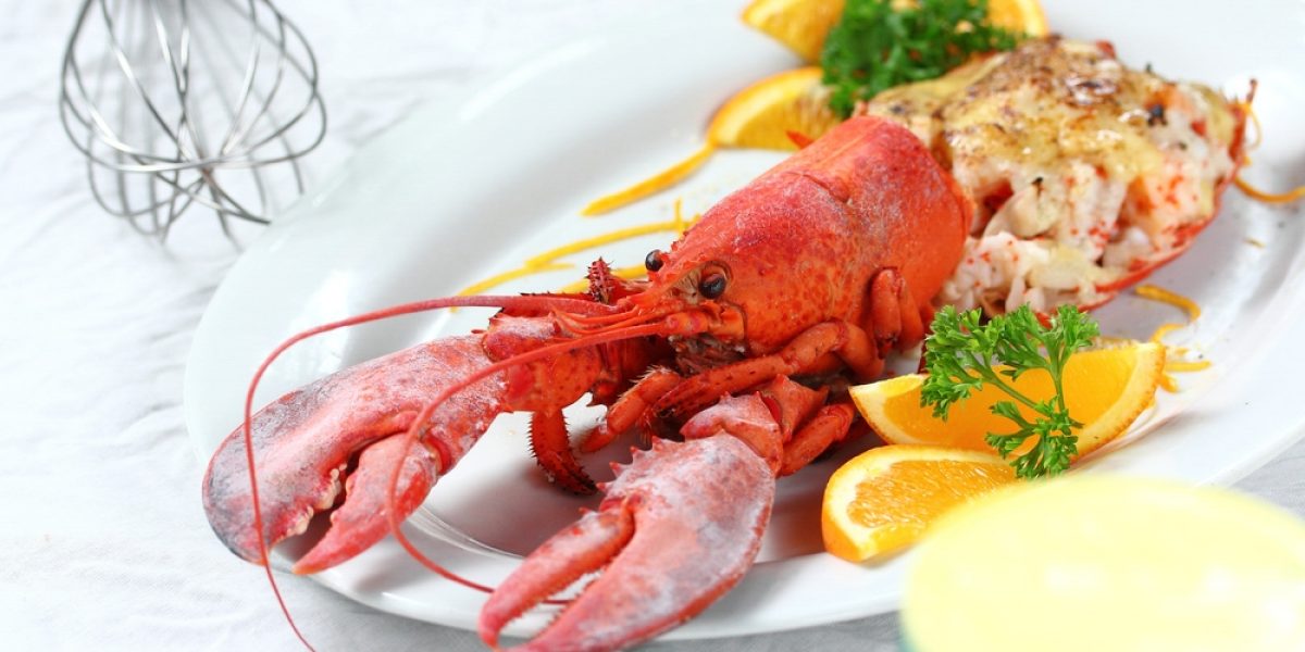 BEL_Lobster_Shutterstock_freewithcredit
