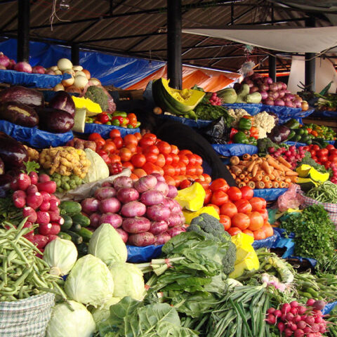 BOLIVIAN FRUIT AND VEGETABLE MARKET