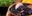 BRA_Feijoada_Free_shutterstock_148093592 BRA_Feijoada_Free_shutterstock_148093592
