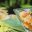 ECU_Shrimp Ceviche_ Free_shutterstock_130921718