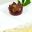 HON_Tres Leches Cake_Free_shutterstock_200018102