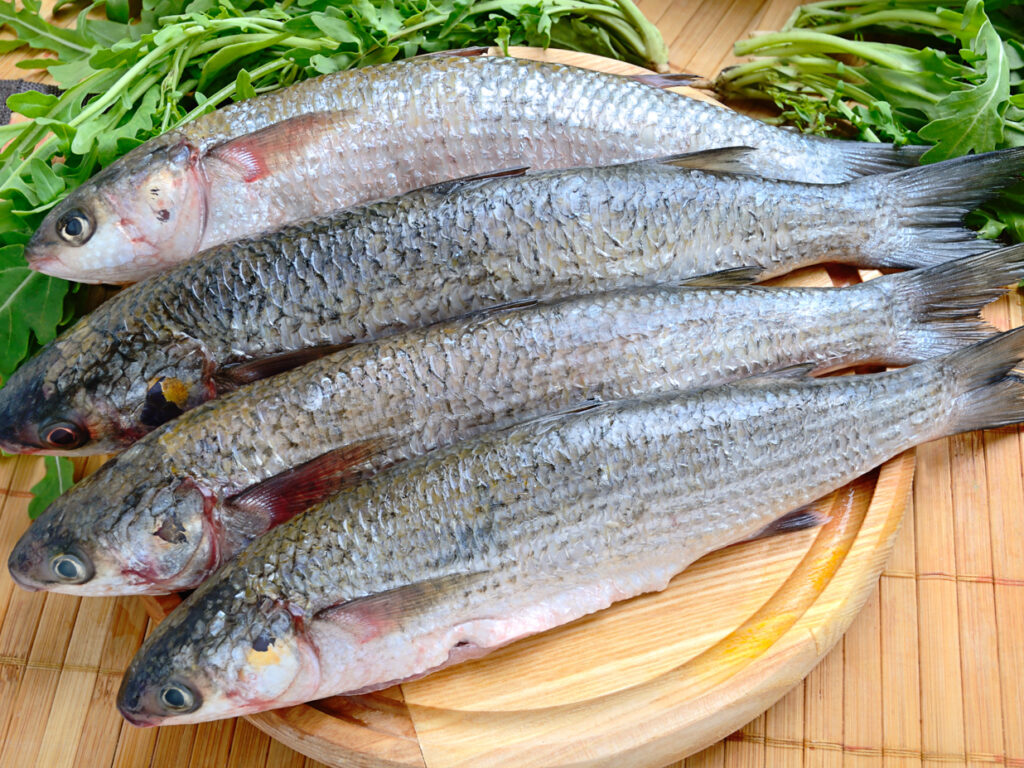 FoodDrinkMulletshutterstock161139446