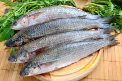 FoodDrinkMulletshutterstock161139446