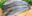 FoodDrinkMulletshutterstock161139446 FoodDrinkMulletshutterstock161139446