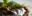 LATAM_BestLatinRezLondon_PicassaImage LATAM_BestLatinRezLondon_PicassaImage