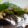 LATAM_BestLatinRezLondon_PicassaImage