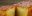 LATAM_Tropical Fruit Cake_Free_shutterstock_149910557 LATAM_Tropical Fruit Cake_Free_shutterstock_149910557