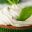 MEX_MojitoCupcakes_Free_Shutterstock_165698468