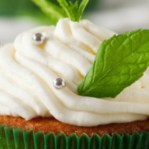 MEX_MojitoCupcakes_Free_Shutterstock_165698468