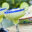 MEX_Margarita_Free_shutterstock_130707164