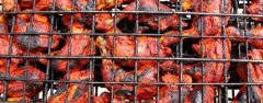 MEX_Pollo a la Yucateca_Free_shutterstock_77204668