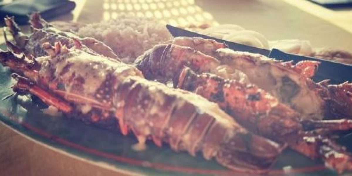 NIC_CulinaryDelights_Lobster_OffWeb
