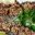 PER_Chifa Beef Skewers_Free_shutterstock_49686076