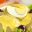 PER_Potato Salad A La Huancaina_Free_shutterstock_89815945
