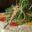 PER_QuinoaSalad_MountainLodgesOfPeru_Freewithcredit