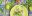 PERFO001PERCevicheFreeShutterstock PERFO001PERCevicheFreeShutterstock