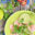 PERFO001PERCevicheFreeShutterstock