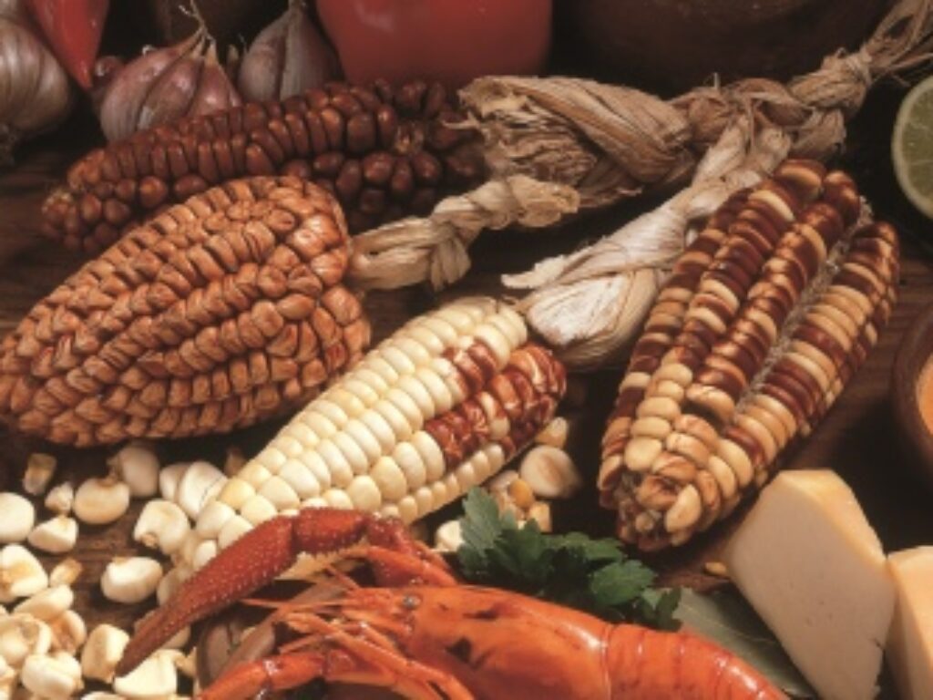PerufoodPromPeru29