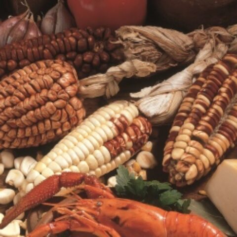 PerufoodPromPeru29