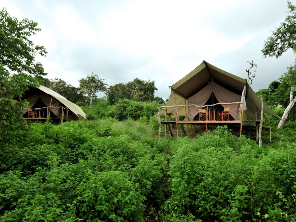 ecuhtl10-santa-cruz-galapagos-galapagos-safari-camp-free