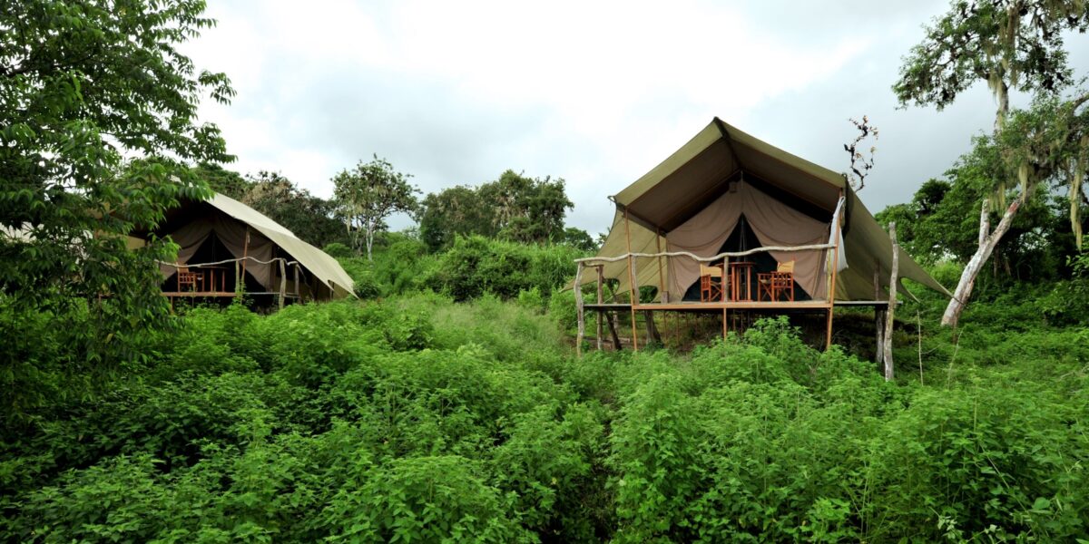 ecuhtl10-santa-cruz-galapagos-galapagos-safari-camp-free