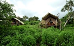 ecuhtl10-santa-cruz-galapagos-galapagos-safari-camp-free