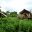 ecuhtl10-santa-cruz-galapagos-galapagos-safari-camp-free